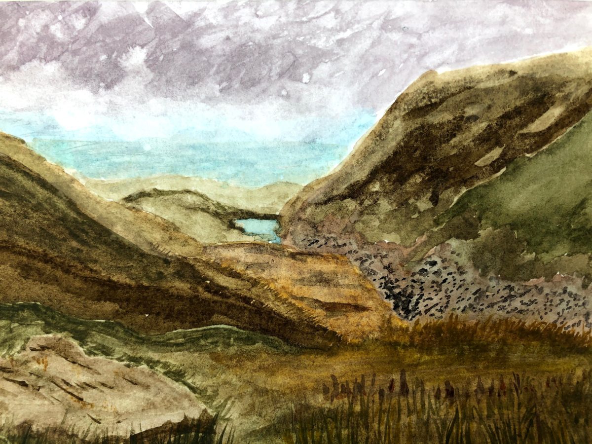 8 – Welsh landscape